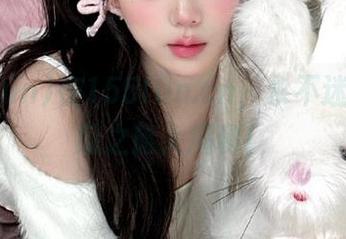 在155fun.cn，永不迷路的追瓜之旅大揭秘！