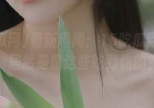 最新趣闻：15吃瓜网的团队，居然是靠这些吃到饱的？