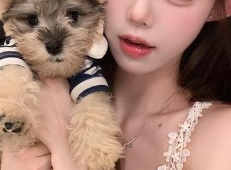 51cgfunapp：让吃瓜这一行为升级成了艺术！