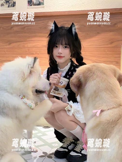 51吃瓜网永久地址上线，瓜农们准备好你的包子吧！