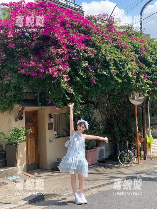 打开58吃瓜网app，瞬间感觉自己成了‘动物园’里的猴子，哈哈