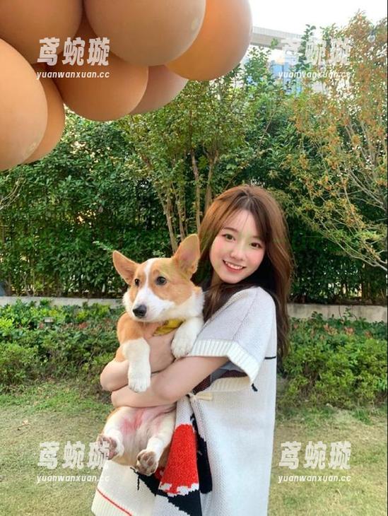 吃瓜网91最新上线：一口吃出百种可能！