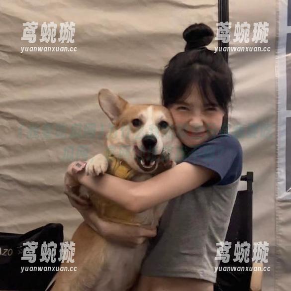 为什么我的眼里只有我要吃瓜网，官网地址却找不到？