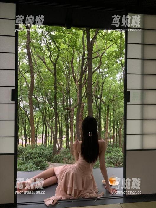 欢迎光临每日吃瓜首页：黑料新鲜出炉，先来一碗吧！