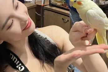 最新万里长征黑料不打烊网址，随便一戳都是八卦，人生怎么能不乐呢？