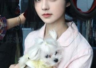 那是什么网站？zzzttt黑料不打烊so让人迷失在导航的海洋！